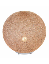 picture (image) of T2011-1-Brown-s.jpg